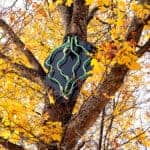 A neon sign in the shape of a large green leaf hangs in a tree